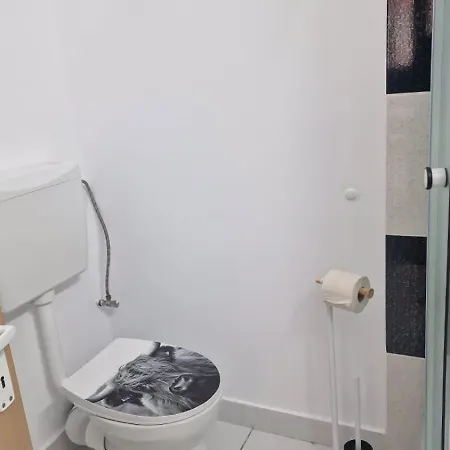 Vladimirescu 21 Apartment