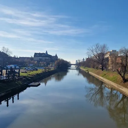 شقة Vladimirescu 21 *