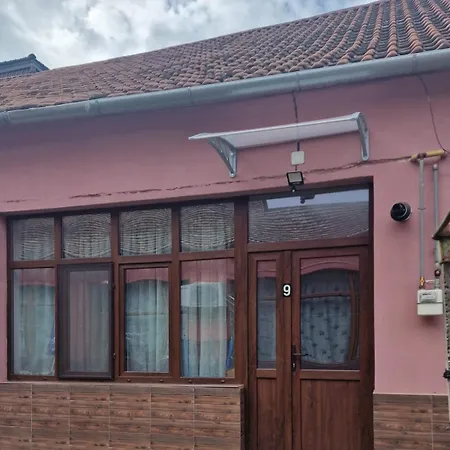 Vladimirescu 21